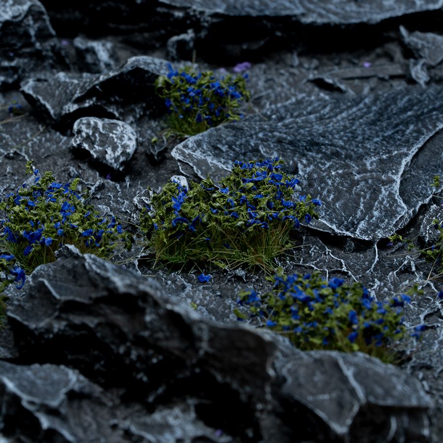 Blue Flowers-Wild
