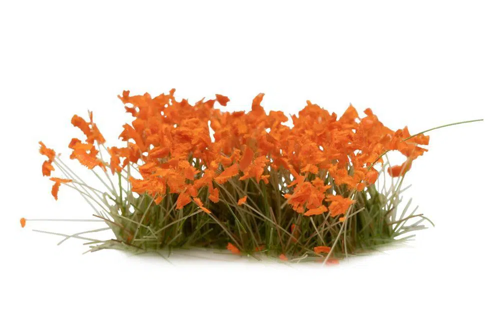 Orange Flowers-Wild