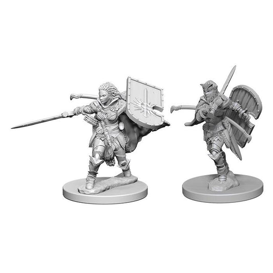 Pathfinder Deep Cuts Unpainted Miniatures - Human Female Paladin